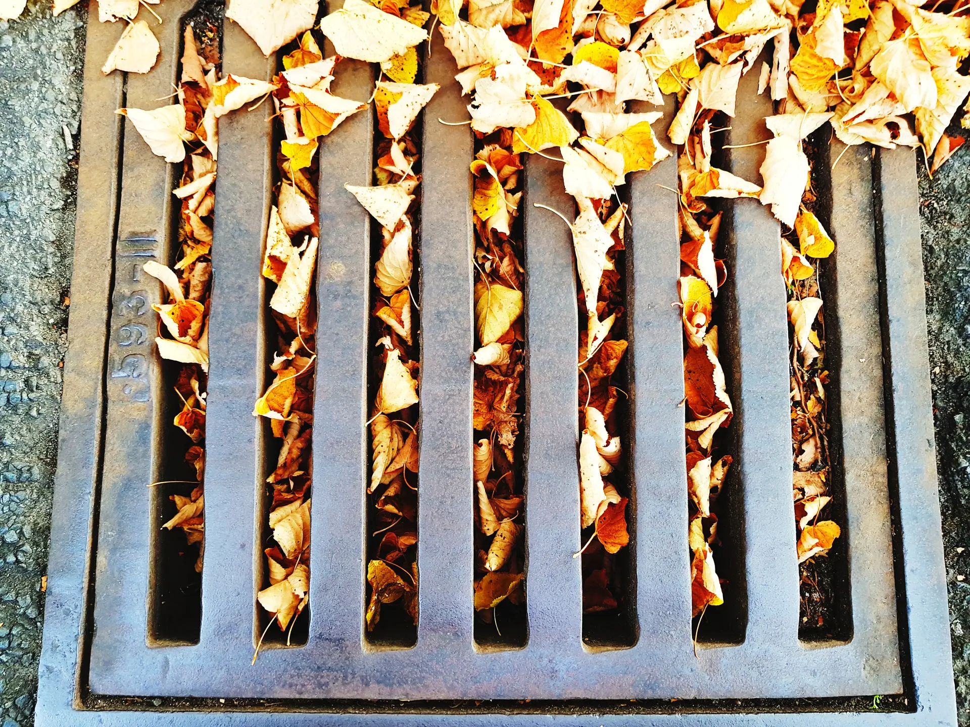 Autumn Leaf Fall - Seasonal Changes on Drainage Systems