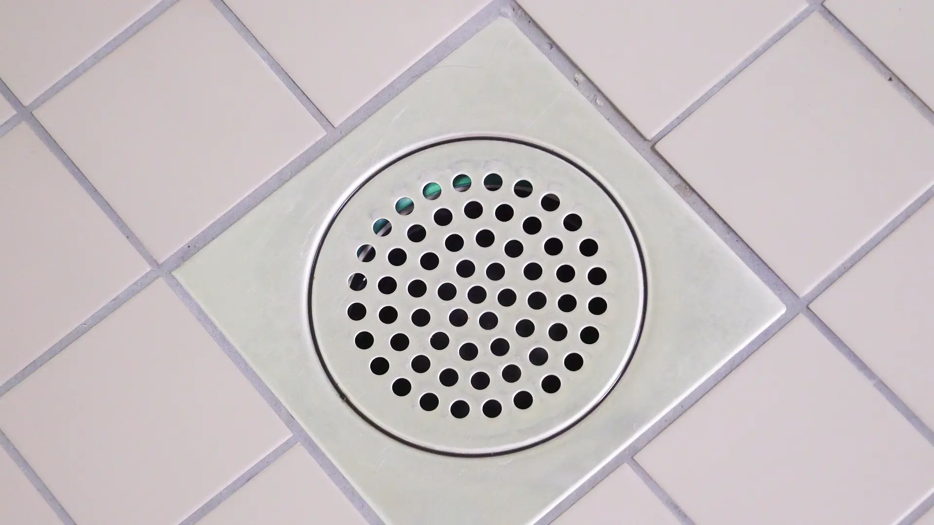 The Dangers of Ignoring Drain Problems