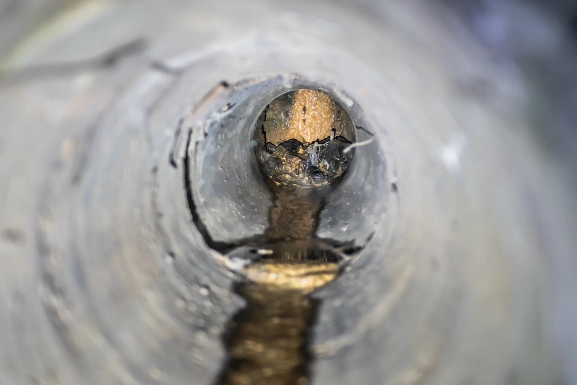 The Dangers of Ignoring Drain Problems