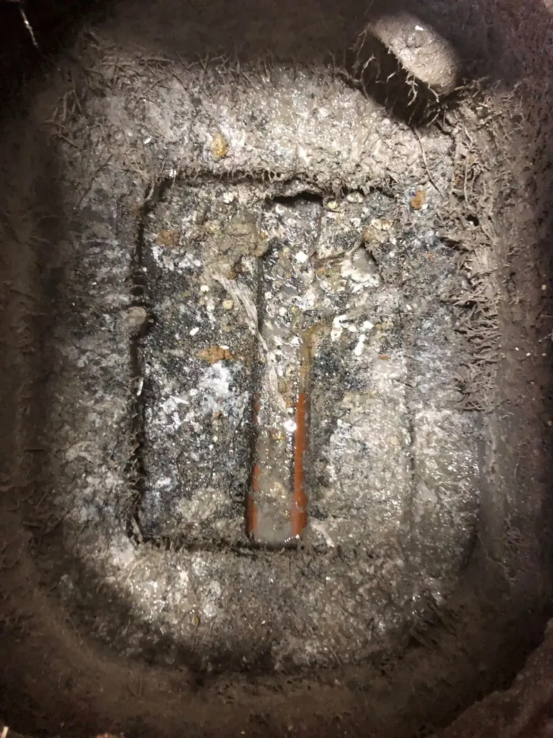 Tree Root Damage - CCTV Drain Survey