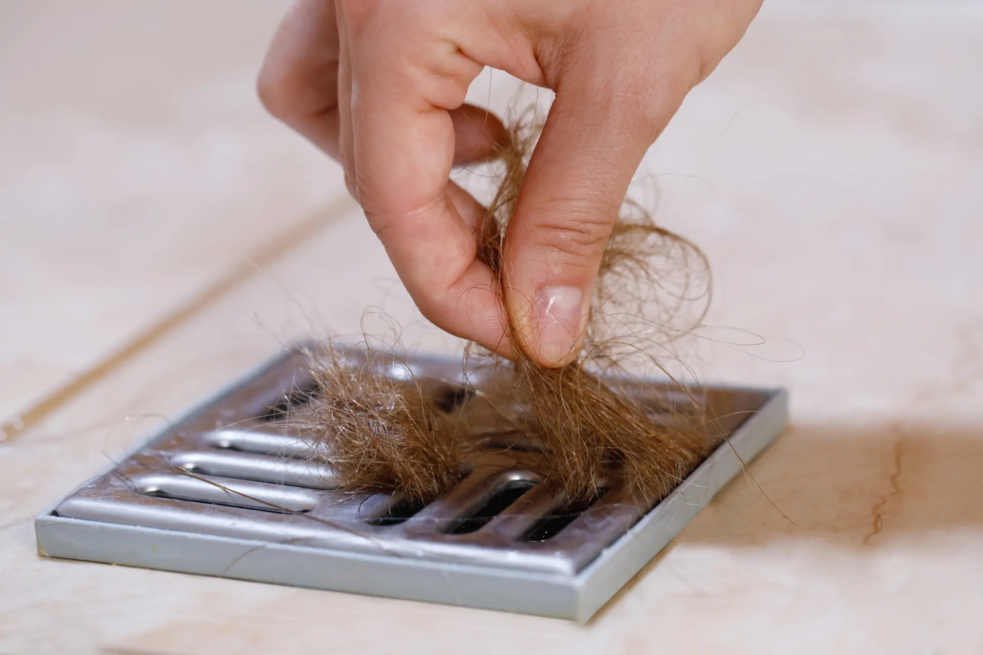 Hair - Common Items That Should Never Go Down Your Drain