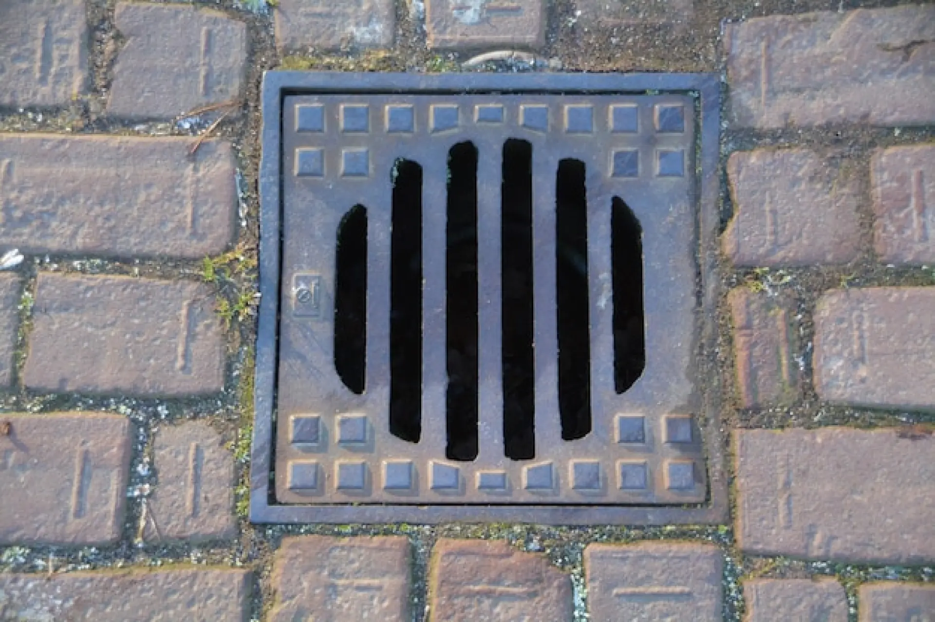 What to Do If Your Outdoor Drain Is Blocked