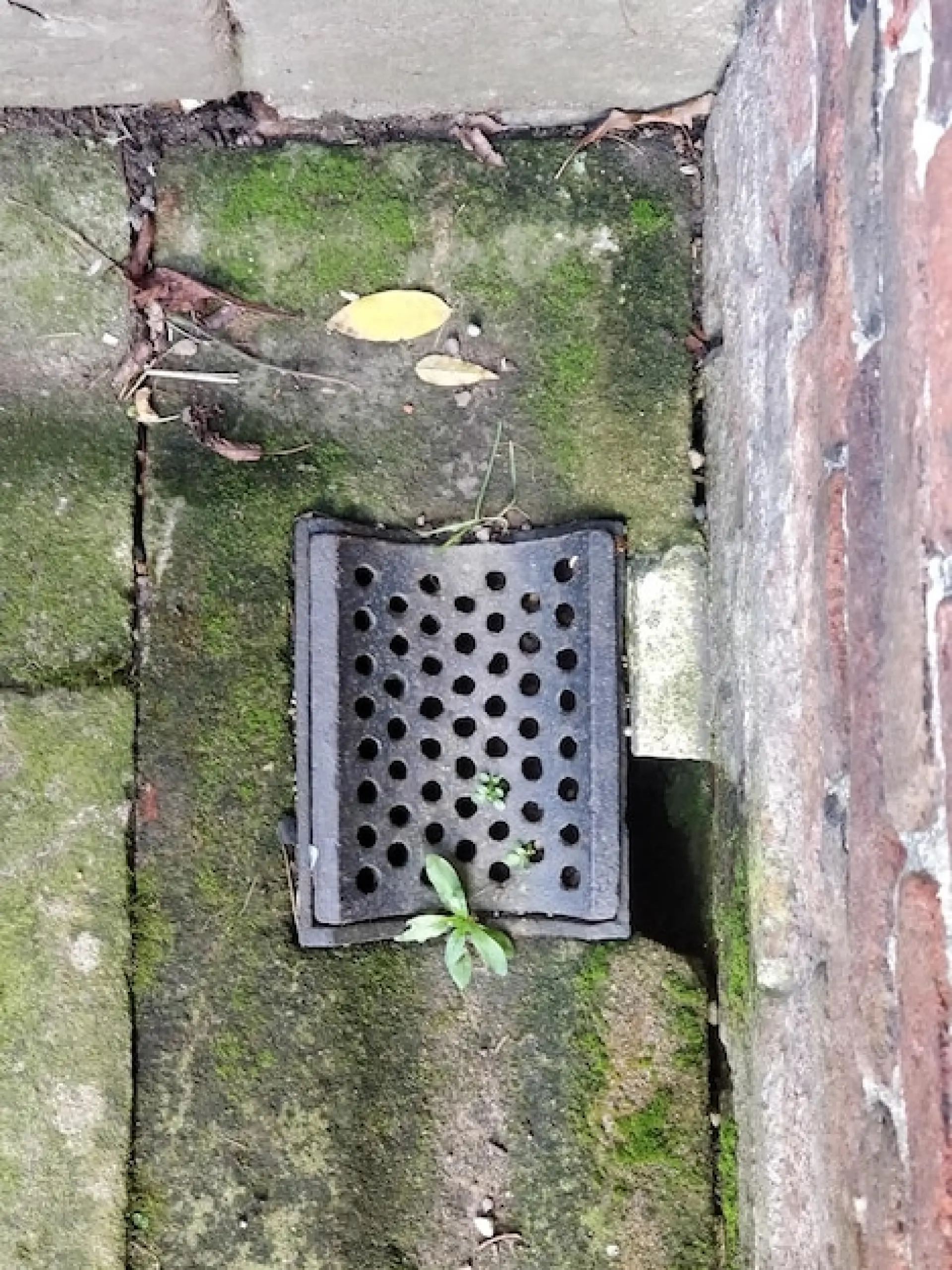 Drain Guards - Keep Your Drains Flowing Freely