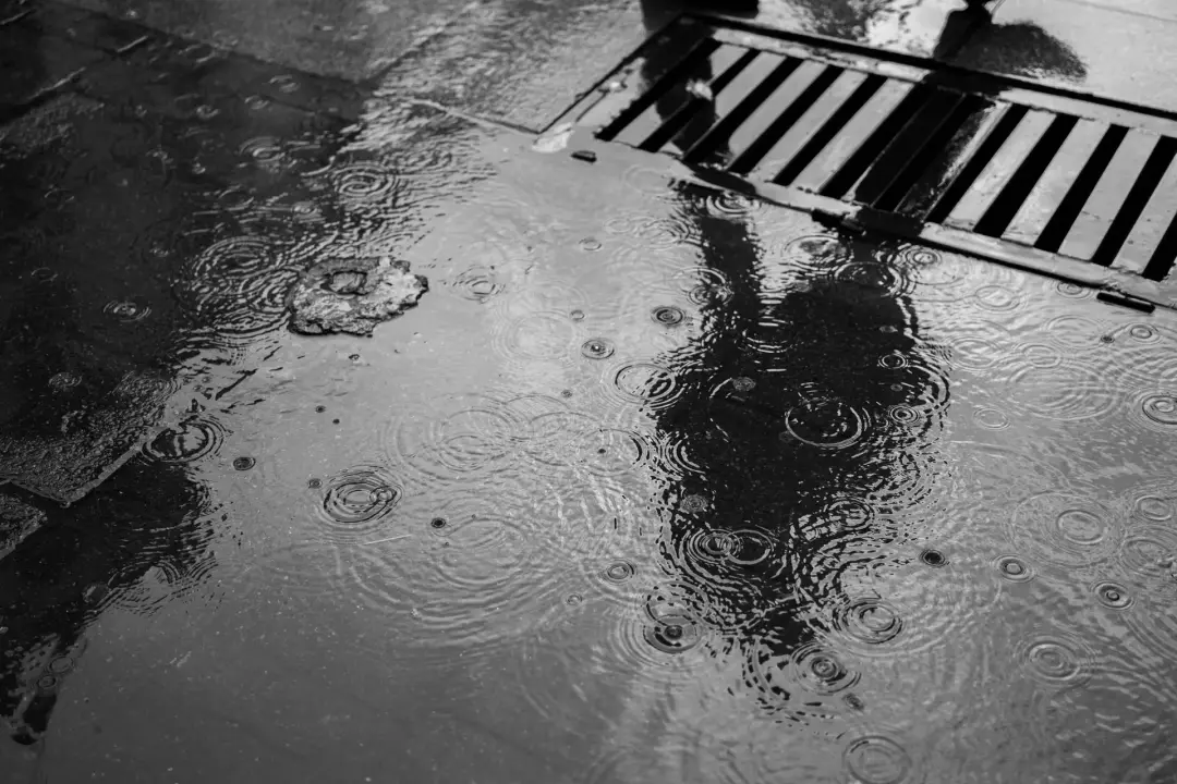 Water Pooling - Signs Your Drainage System Needs Urgent Attention